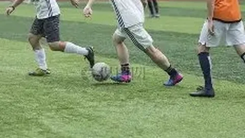 哈姆西克退役田园生活：与爱妻共筑鸡窝，29只鸡下蛋不断，美味丰收乐无穷！