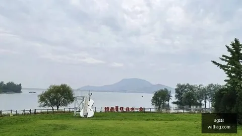曼联新赛季表现低迷，英力士球队建设陷入困境，深度分析潜在危机点